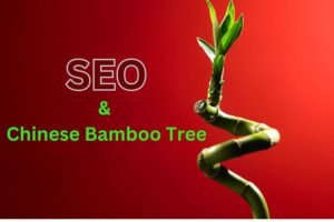 How SEO Grows Like the Bamboo Tree: The Power of Patience